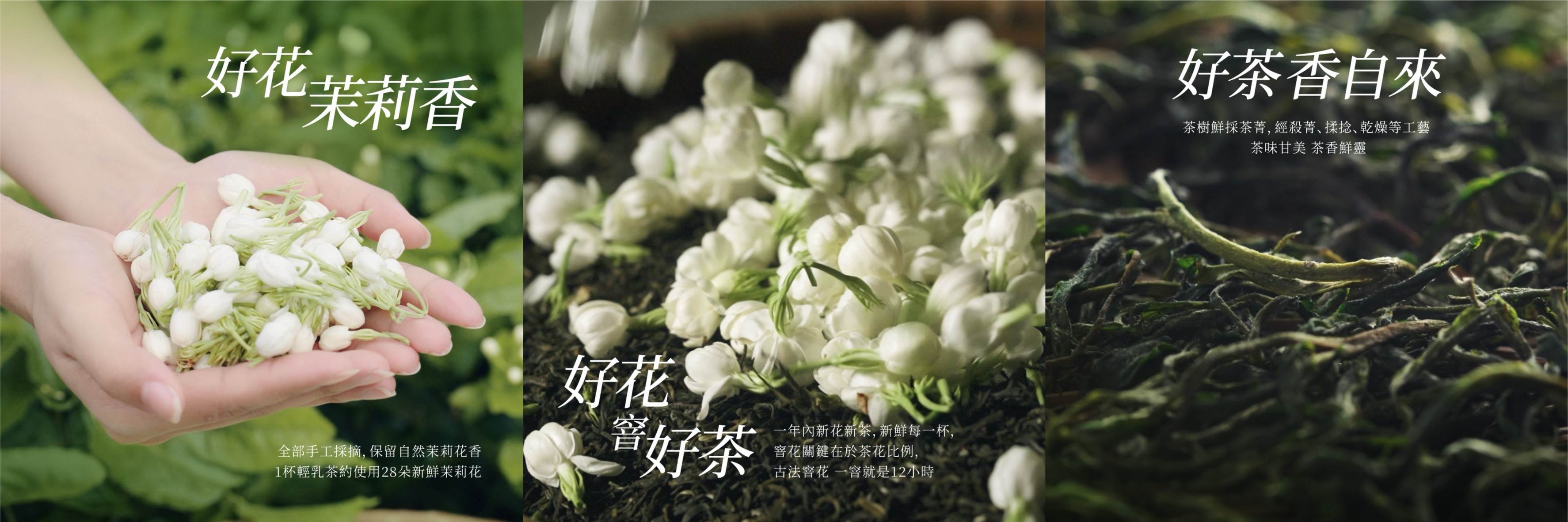 28茉輕乳茶6/17全台上市。（圖／CoCo都可提供）