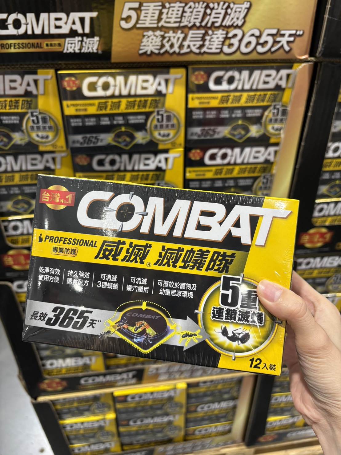 505435363_24581190101468889_7554264467425623970_n