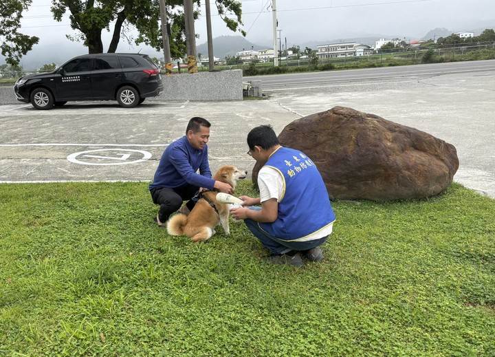 台東縣政府亦於5月5日公告修正今年度《犬貓及人工飼養陸生食肉目動物狂犬病疫苗預防注射事項》。（圖／台東縣政府）