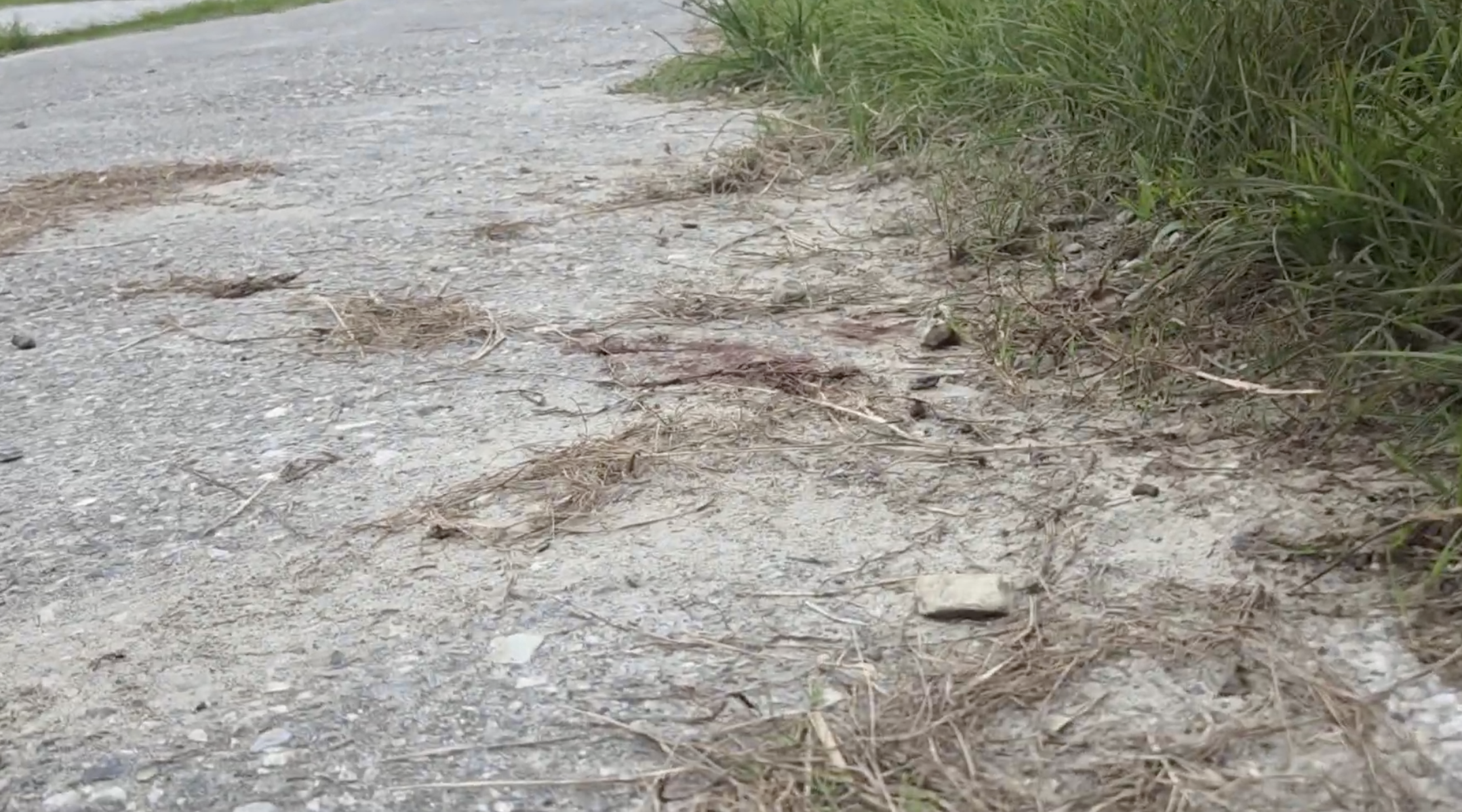 案發現場仍留下血跡斑斑。翻攝畫面