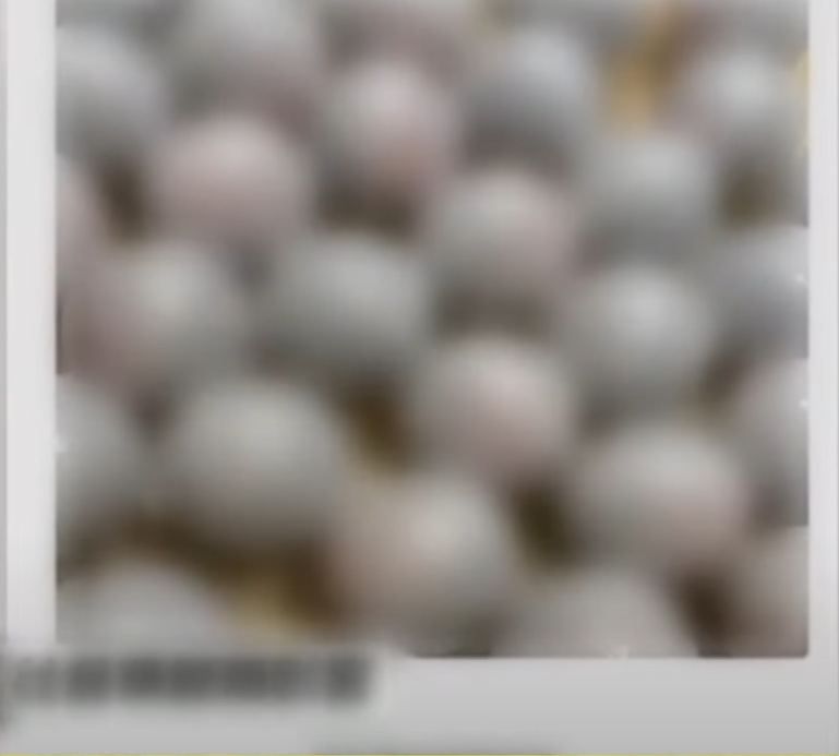 螢幕擷取畫面 2025-06-20 135300