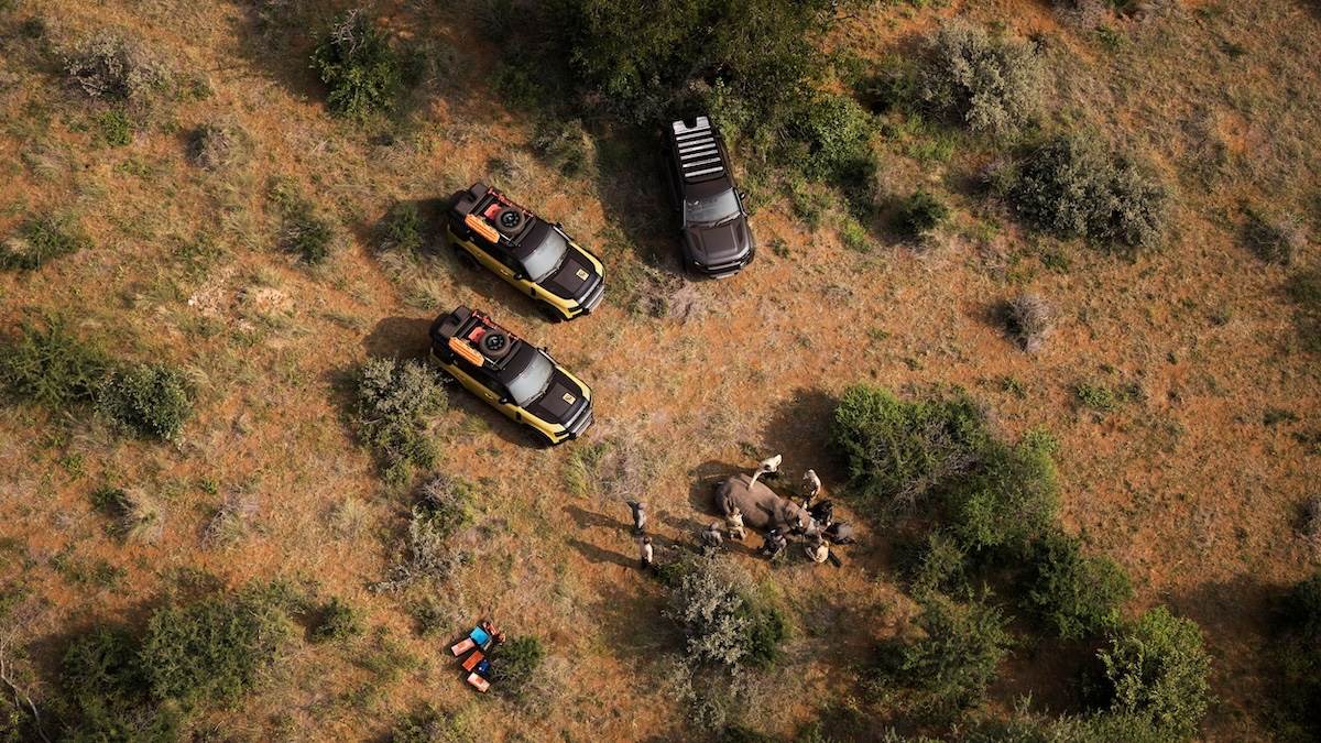 資格賽選拔將於今年啟動，於資格賽中脫穎而出的參賽者，將能夠晉級2026年Defender與保育合作夥伴Tusk共同於非洲舉辦的全球總決賽。（圖／JLR Taiwan提供）