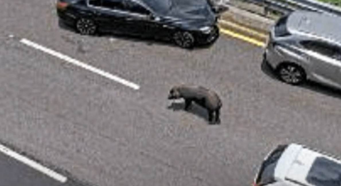 messageImage_1750663060586