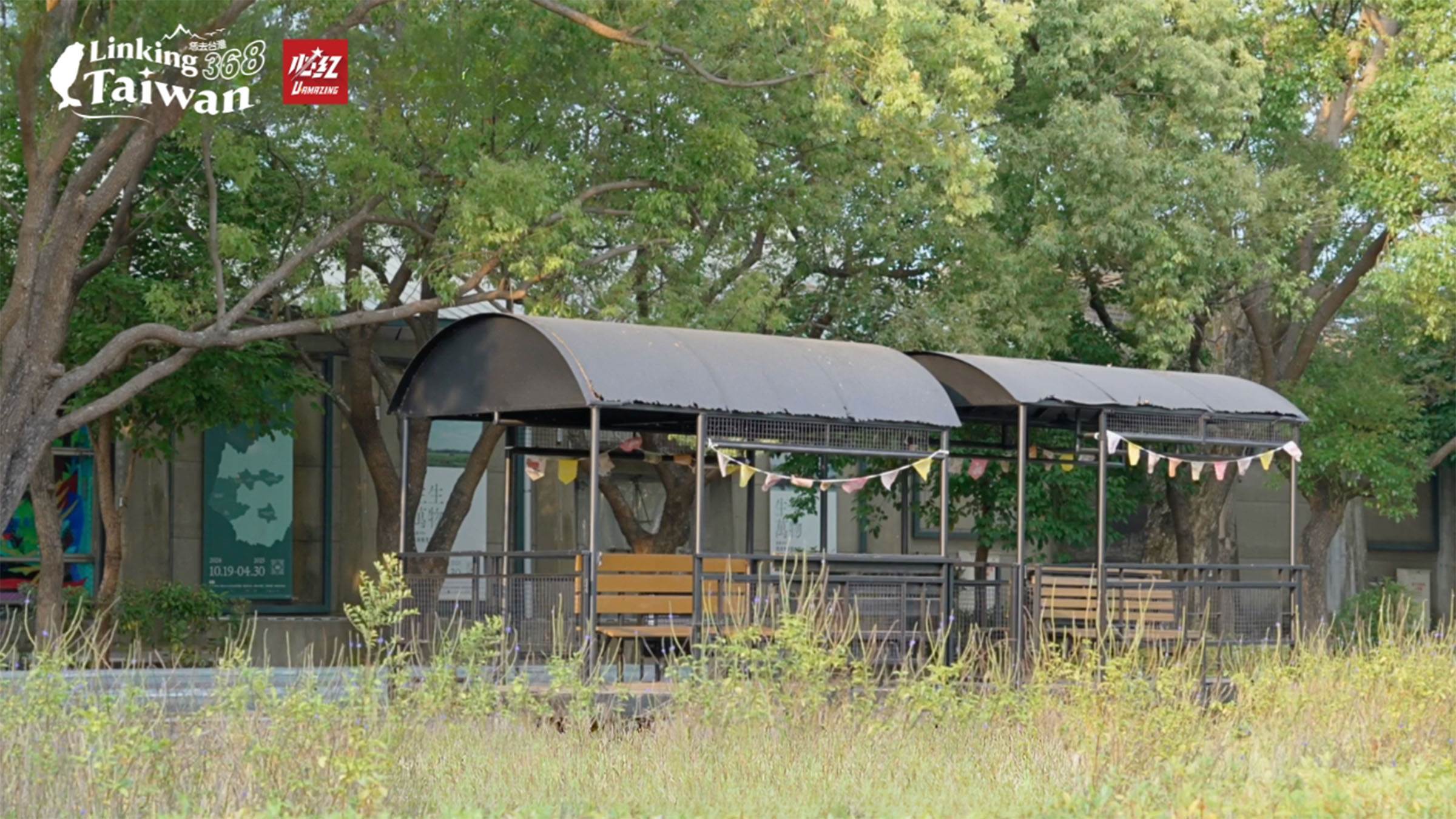 這些五分車是早期糖廠留下的運糖軌道，串聯旁邊的倉庫群，用來運送<a href='/search/tags/甘蔗/' target='_blank'>甘蔗</a>與糖。（圖／《Linking 368 Taiwan 恁去台灣》提供）