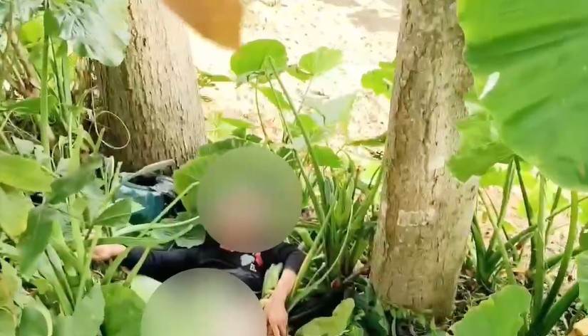 螢幕擷取畫面 2025-06-24 165736