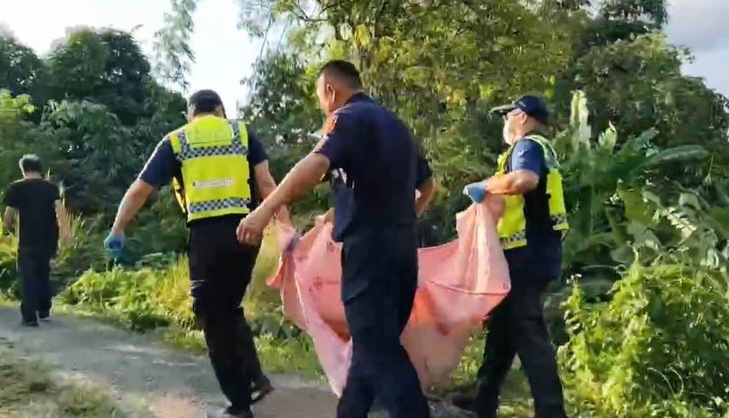 螢幕擷取畫面 2025-06-24 165807