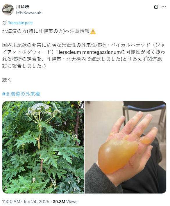 註解 2025-06-25 152326