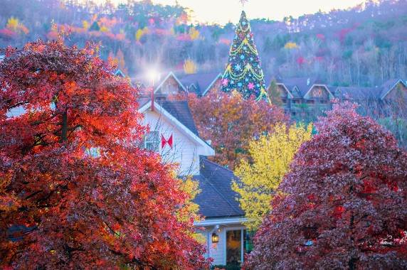 韓國最大主題樂園「愛寶樂園」設有五大主題區，是家庭與情侶熱門打卡景點。（圖／找到了旅行社提供）