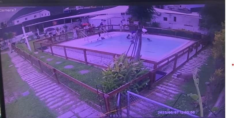 螢幕擷取畫面 2025-06-26 112721