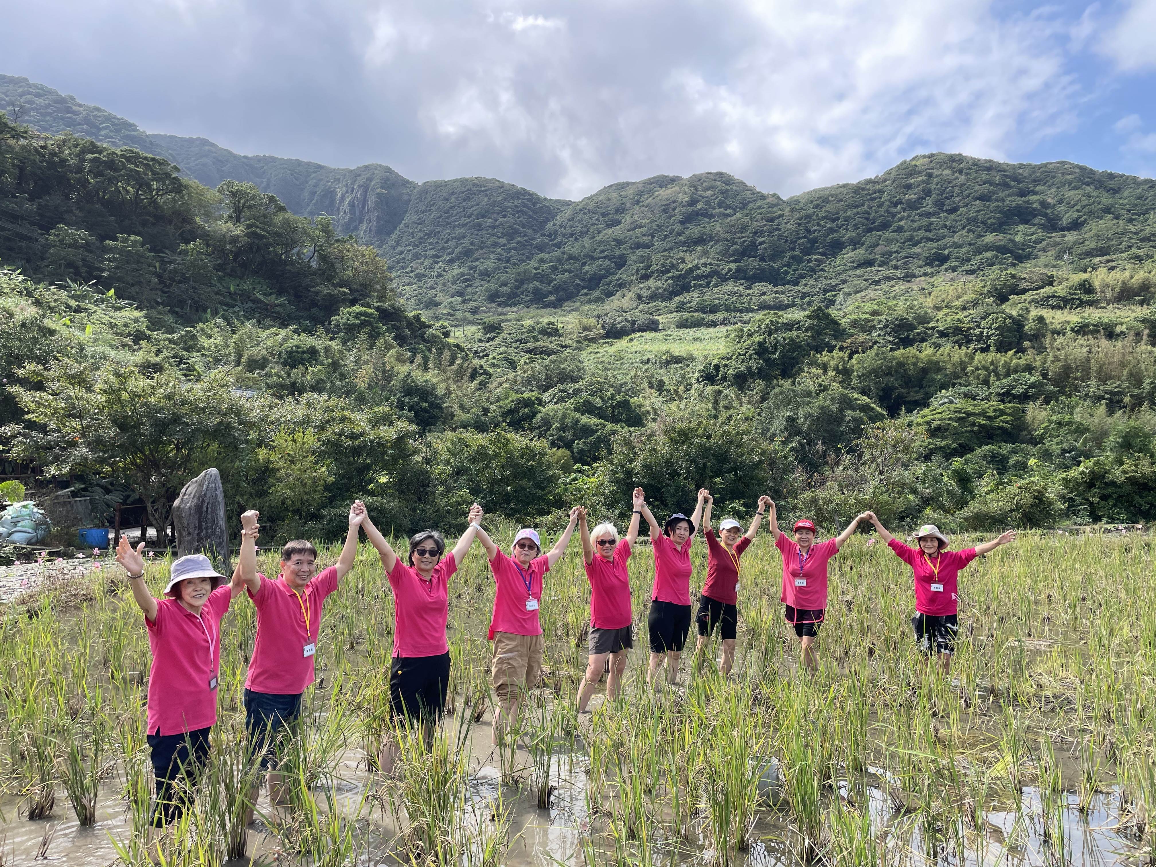 石門嵩山社區發展協會發展一日遊套裝行程和米食小產業,民眾可前去體驗種稻、割稻農村樂趣,所得再拿來挹注老人共餐。(圖/新北市政府社會局提供)