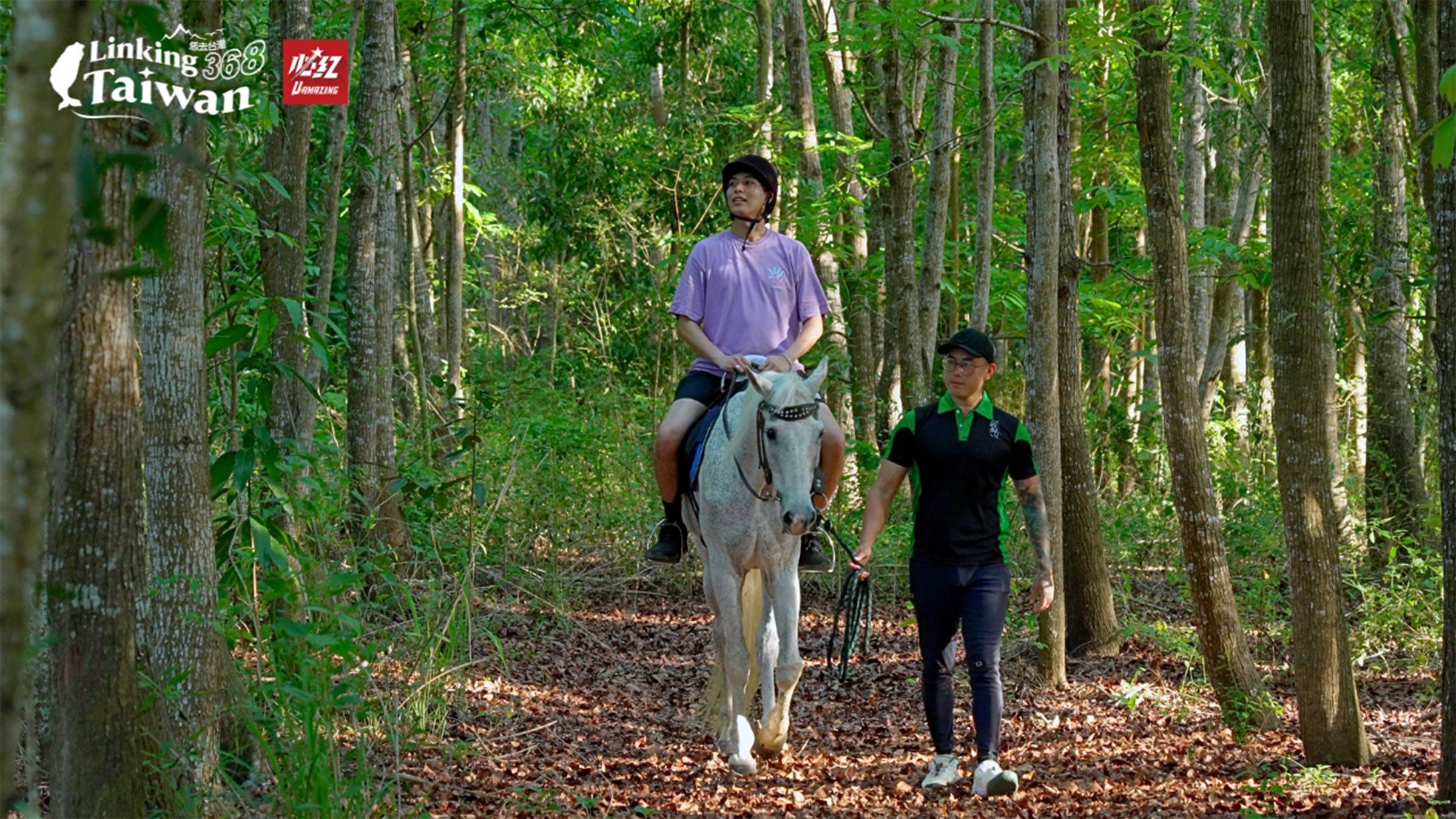 在森林中騎馬，微風拂面、鳥鳴環繞，彷彿與大自然融為一體，是一次放鬆又難忘的療癒旅程。（圖／《Linking 368 Taiwan 恁去台灣》提供）