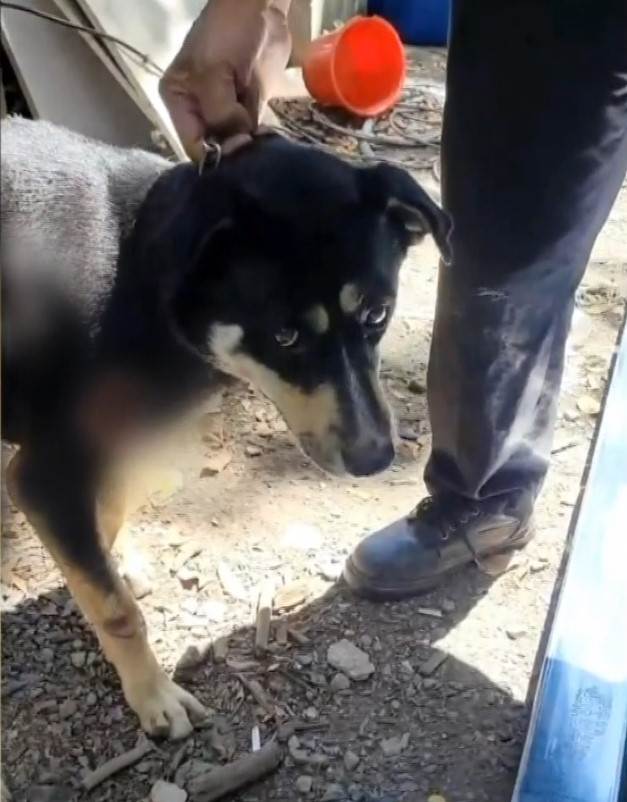 註解 2025-07-01 131913