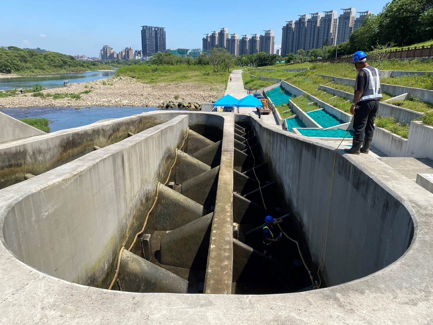 魚道內麻繩直徑3.8公分、長度超過132公尺，讓小毛蟹們能藉由「繩助攻」輕鬆攀爬越過。（圖／新北市政府水利局提供）