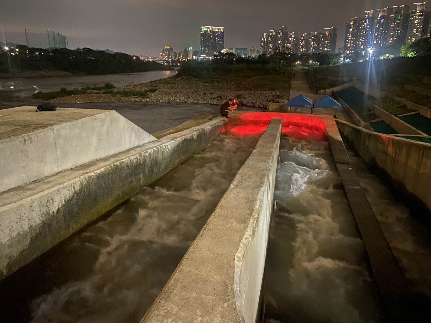 水利局歷時長達一個月的時間追蹤毛蟹的移動蹤跡。（圖／新北市政府水利局提供）