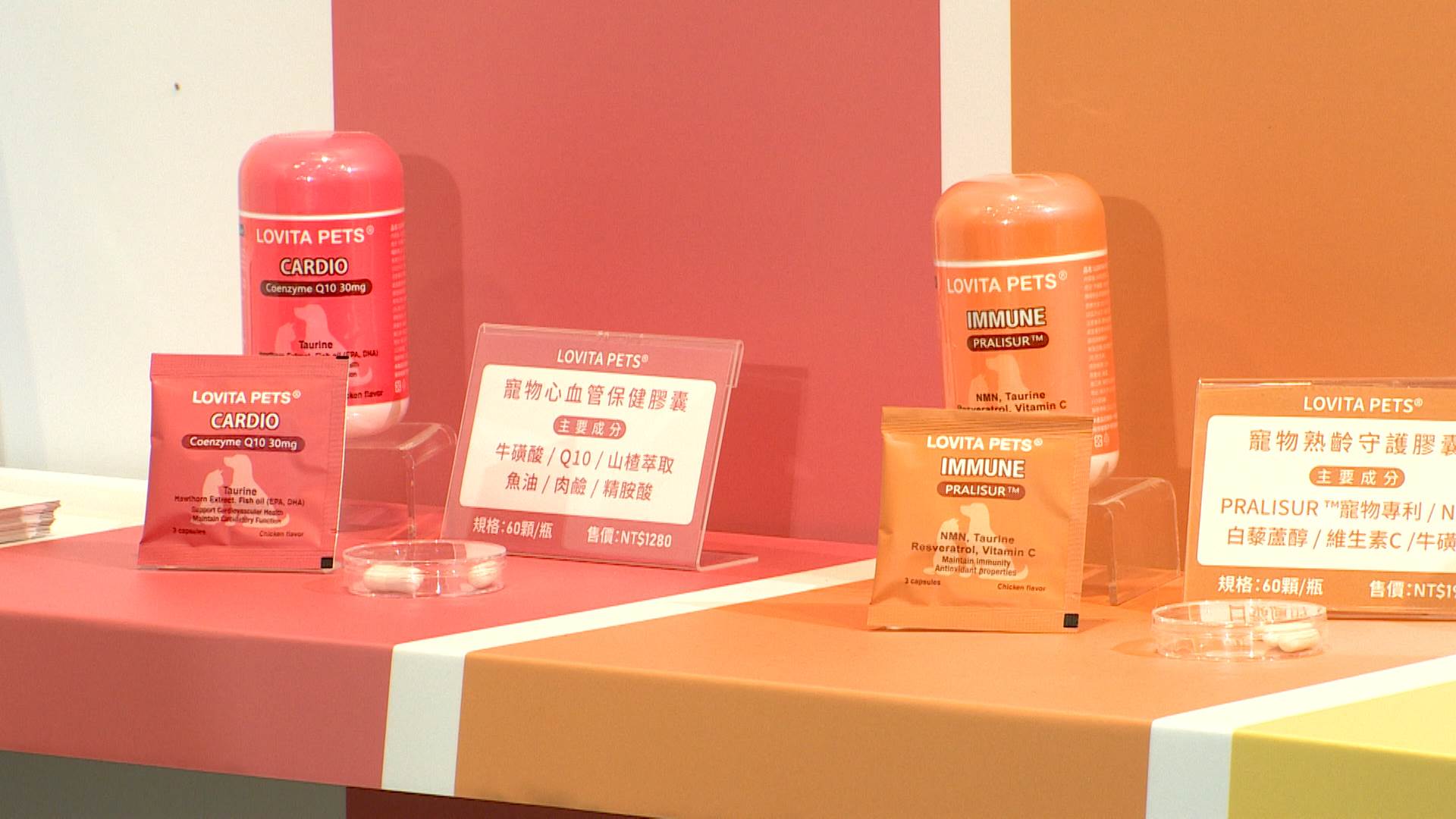 毛孩邁入初老行動卡卡？營養補充是關鍵。（圖／東森新聞）