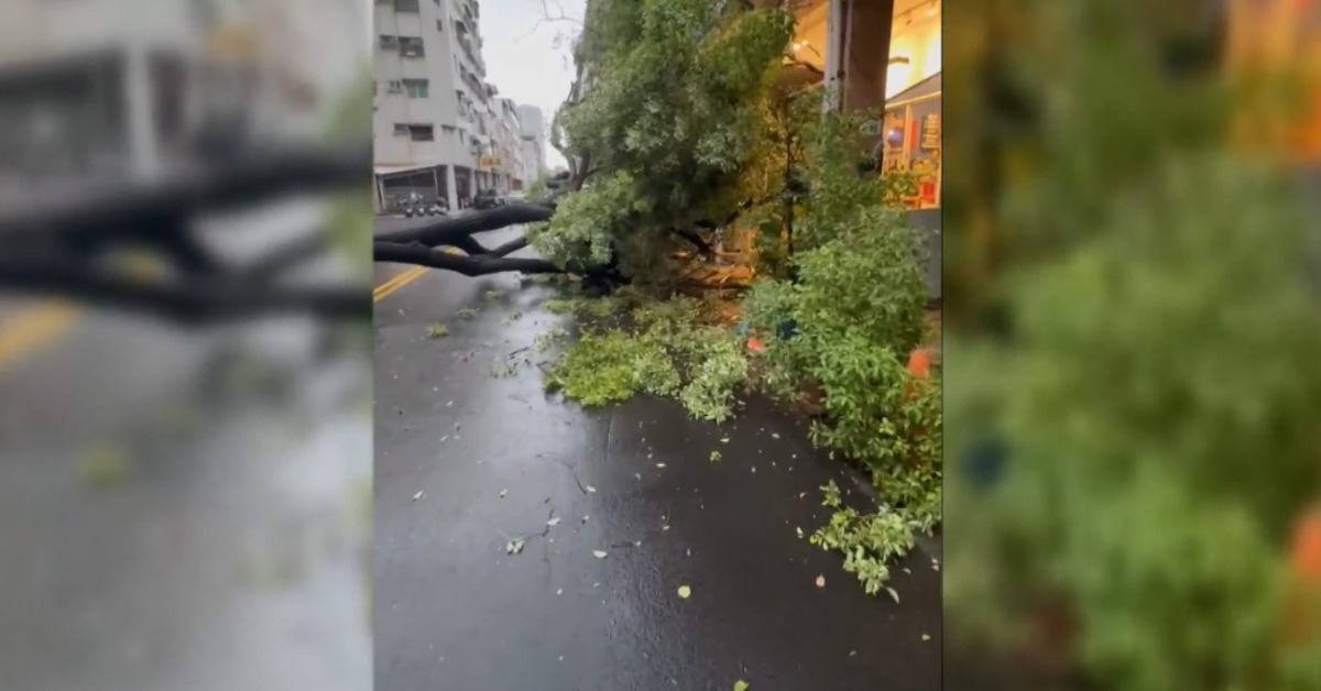 高雄前鎮區一棵路樹被強風吹倒，直衝騎樓，差點砸到店裡的民眾。（圖／東森新聞）