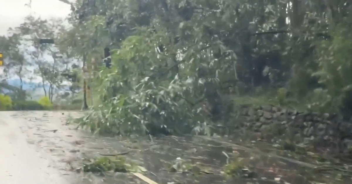 南投日月潭被狂風暴雨肆虐一整夜，導致魚池鄉外環道斷裂。（圖／東森新聞）