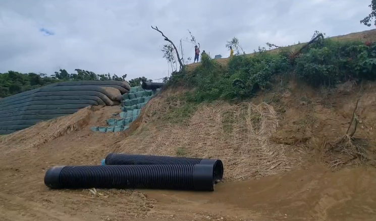 螢幕擷取畫面 2025-07-08 110238