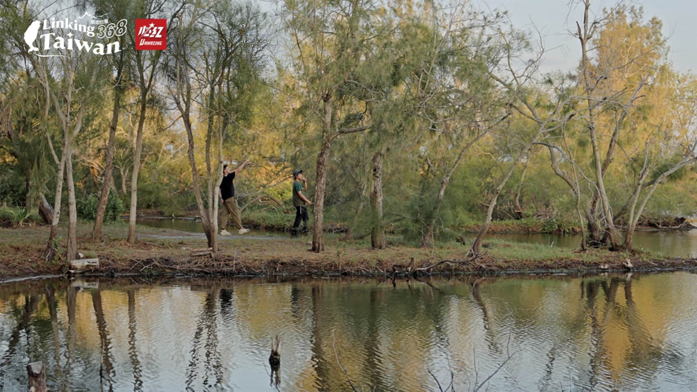 這裡是好美里水漾森林，一個充滿驚喜與趣味的地方！它的形成源自2018年823水災，因緣際會之下，意外造就了這片如夢似幻的水漾美景，成為遊客流連忘返的私房景點。（圖／《Linking 368 Taiwan恁去台灣》提供）