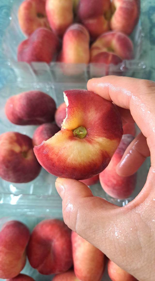 518086057_1851048755463990_7924075735881878761_n