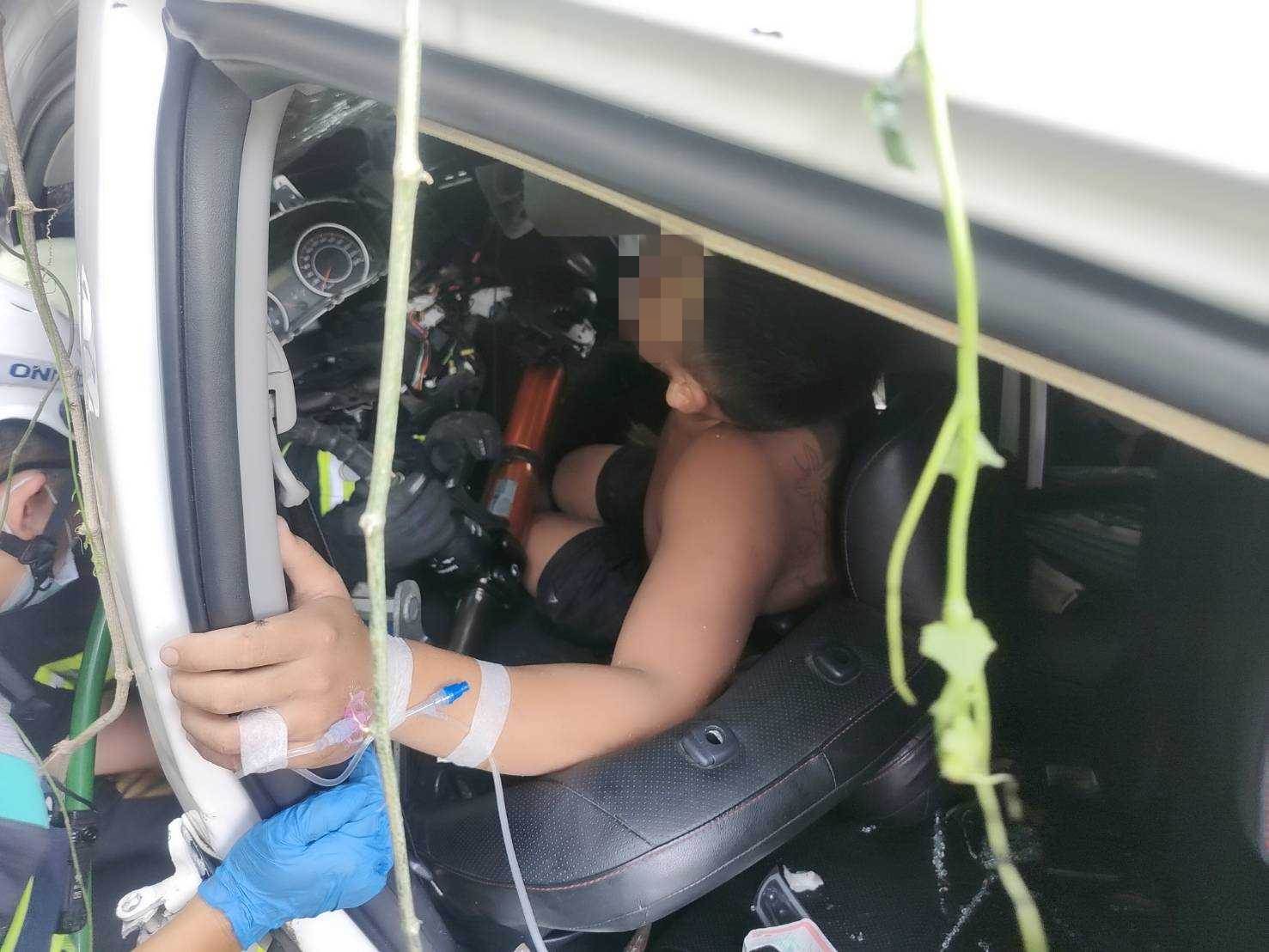 S__176955462-fotor-20250718143051