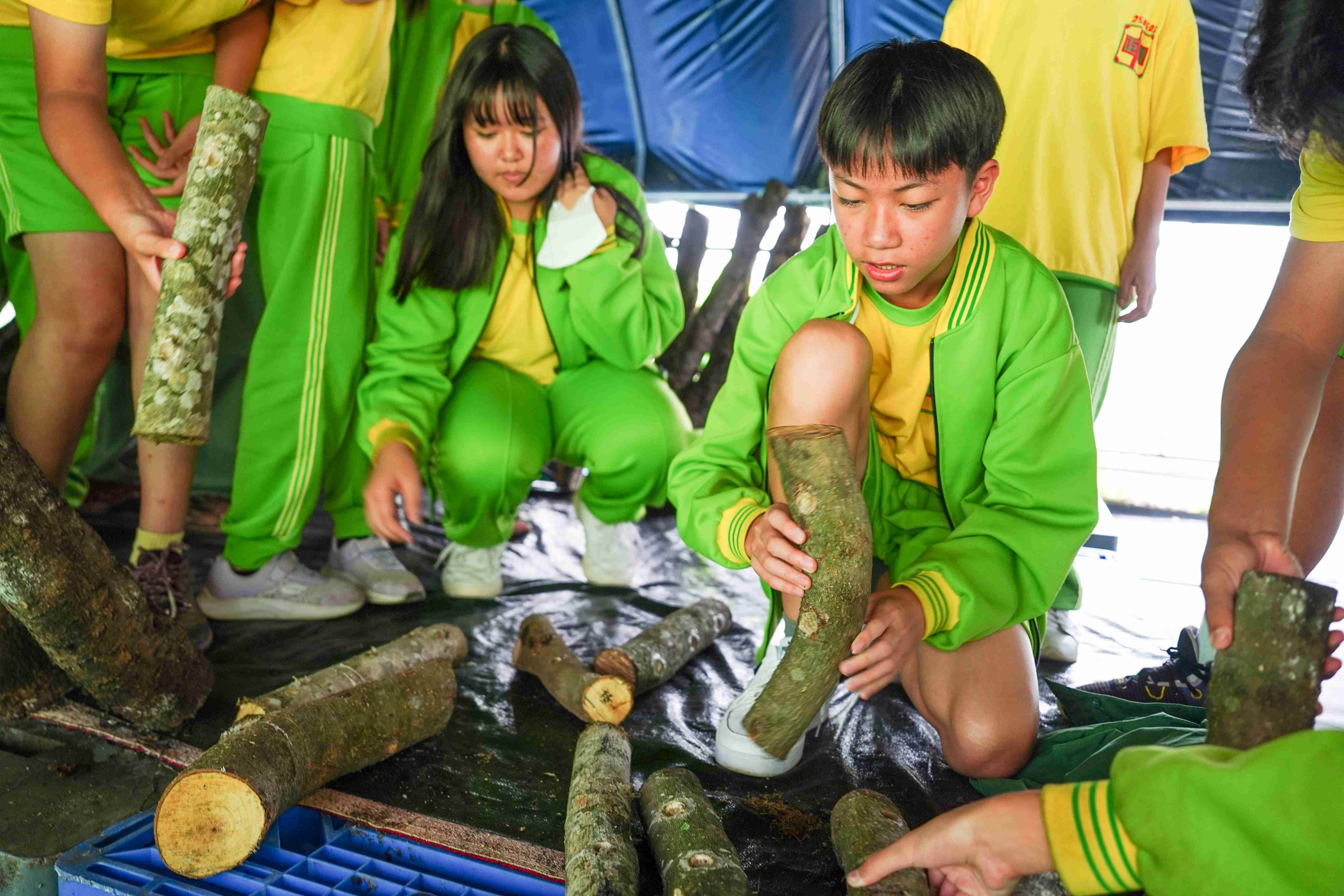 新北市與學校及社區共建多元體驗場域。（圖／新北市政府提供）