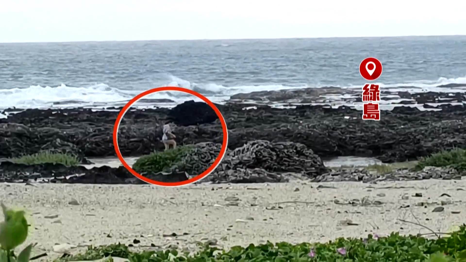 薇帕炸離島12002