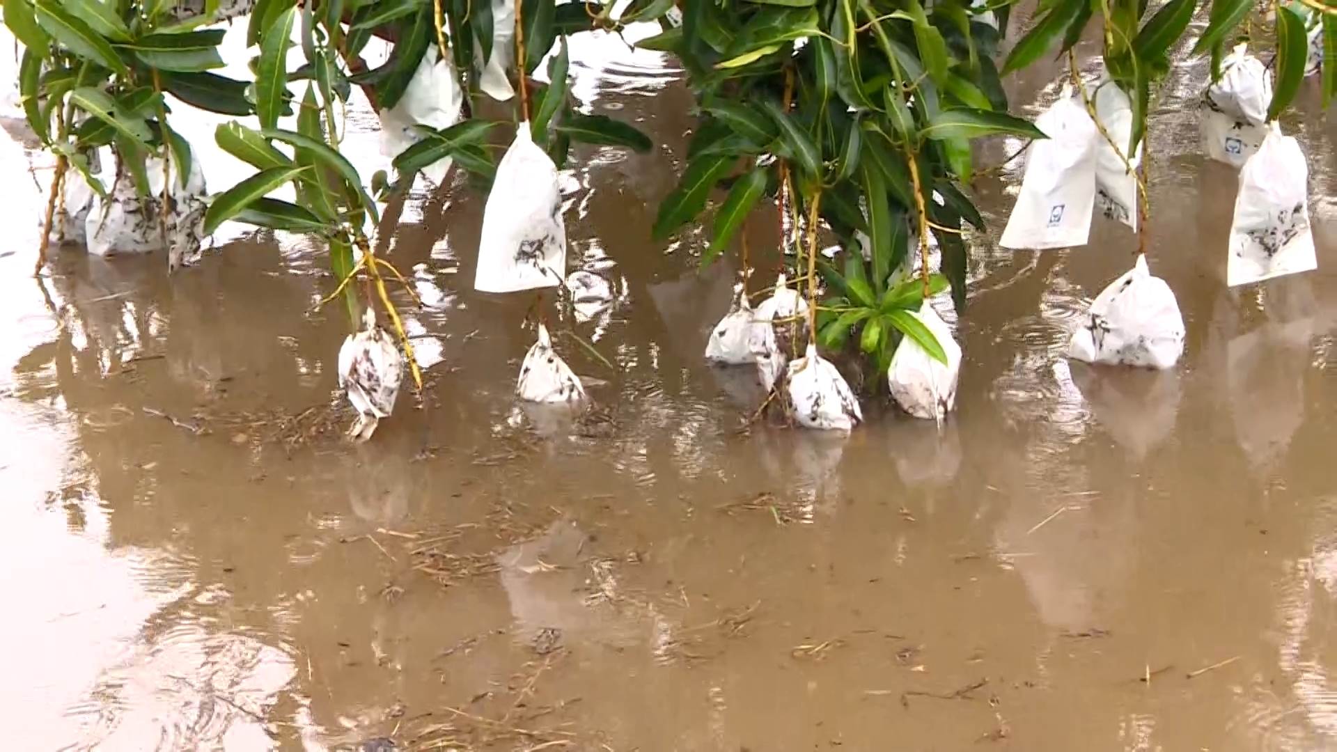 #1_Channel 3---2025_07_20---12_10_40---H264  8 bit---269---split003.mp4_snapshot_02.47.406