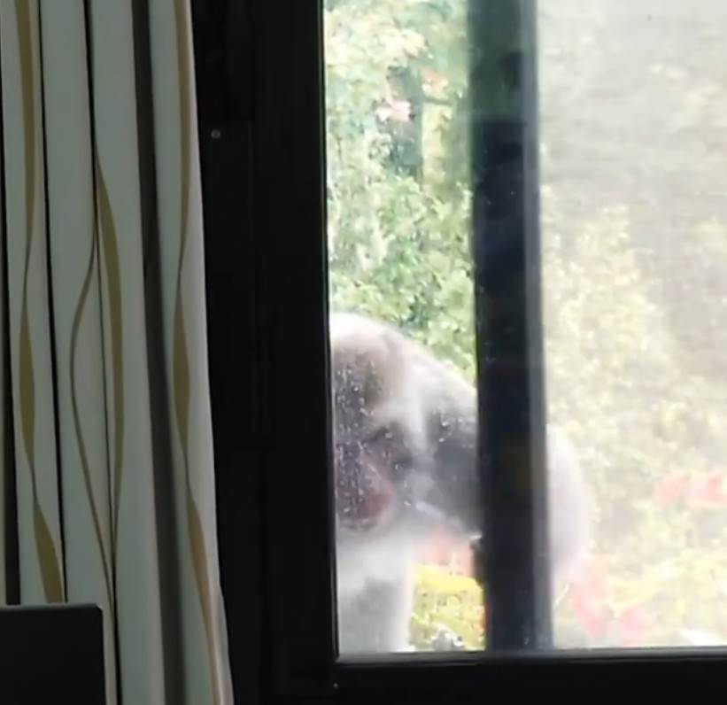 messageImage_1753151978828