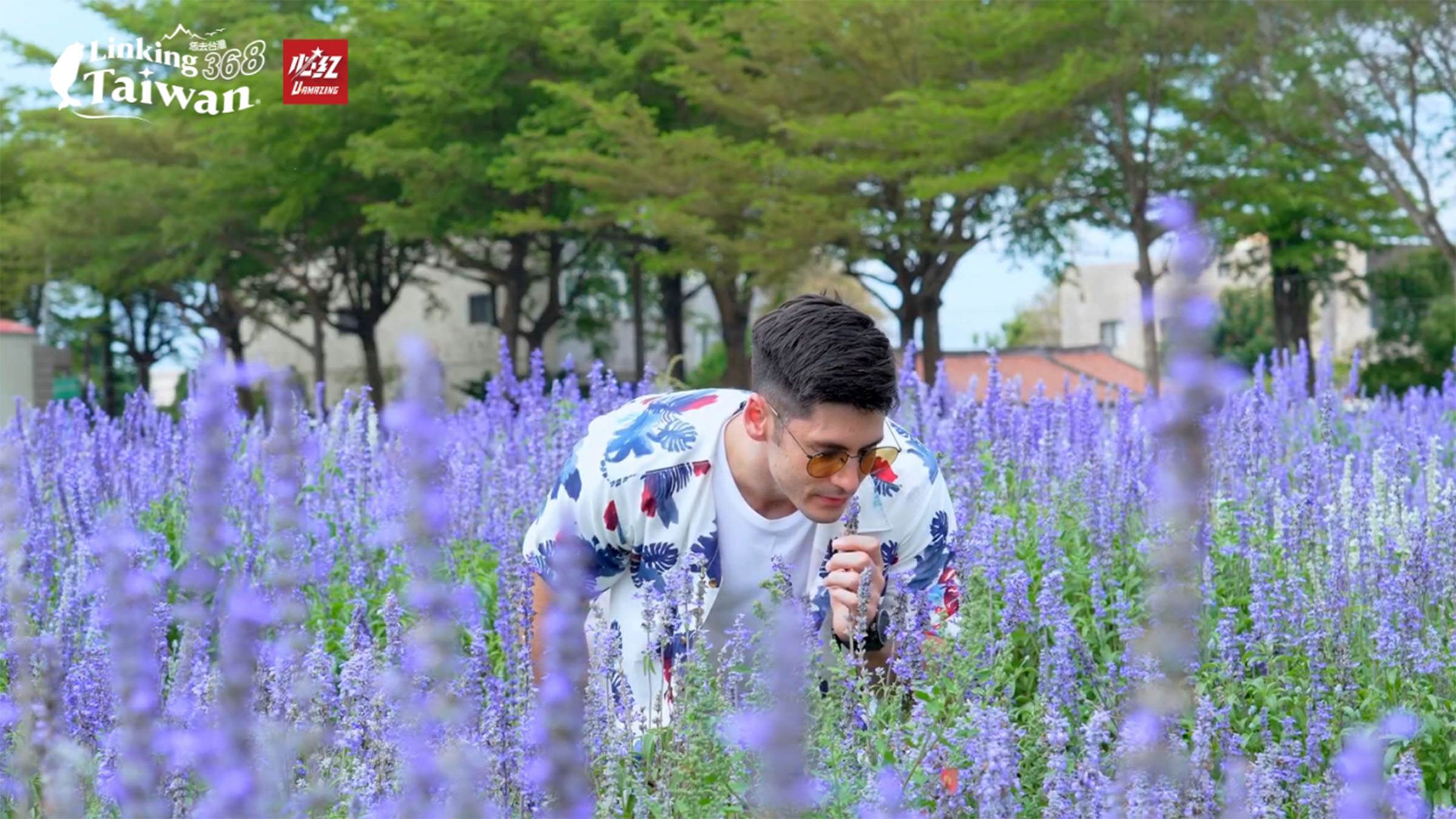 在學甲，每年都有蜀葵花文化節，今年是第12年了！整個會場有2.6公頃大，除了蜀葵花外，還搭配鼠尾草田、火焰雞冠花等多種花卉，超級漂亮！（圖／《恁去台灣》提供）