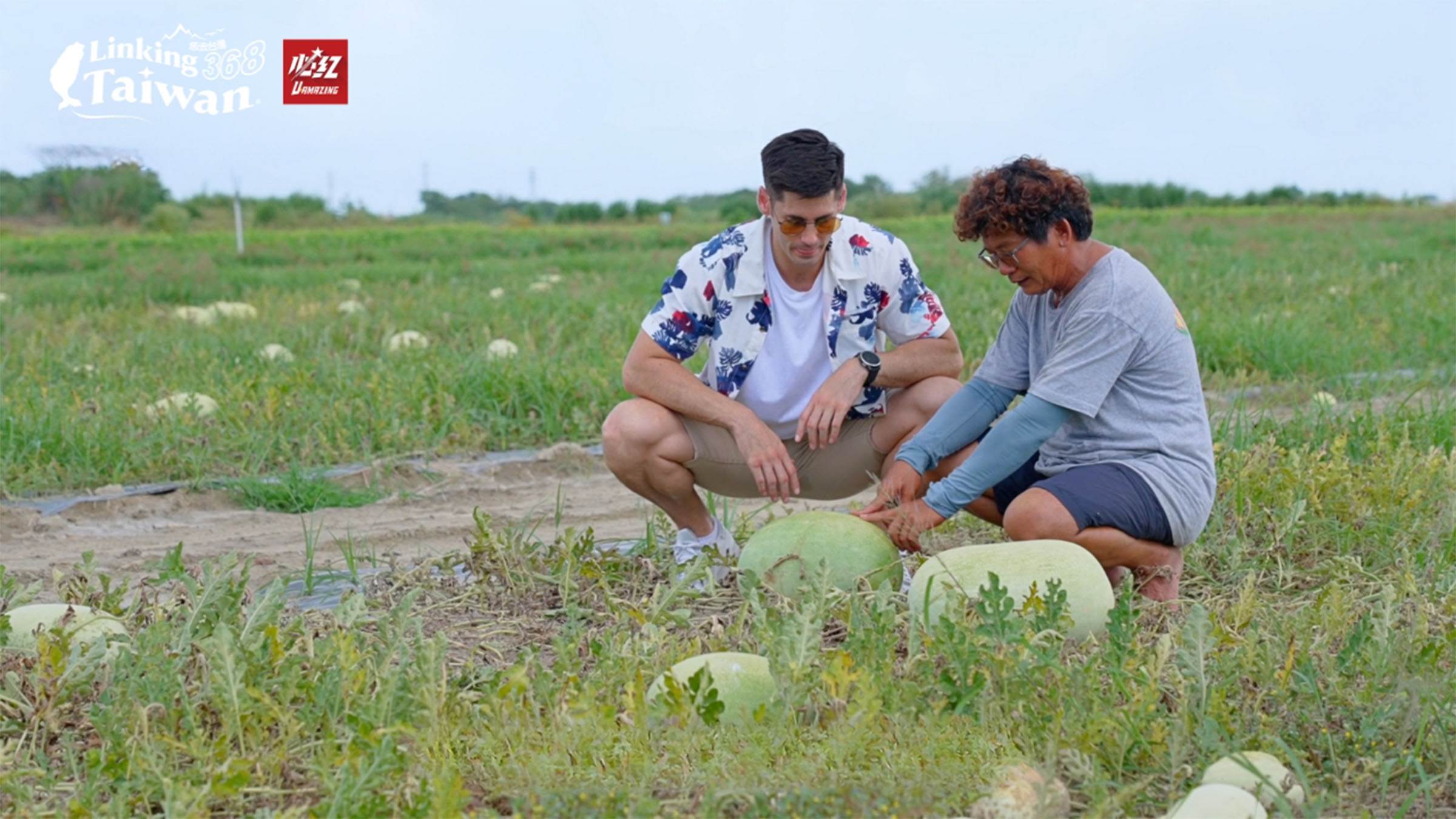 西瓜是學甲人的驕傲，郭大哥說種出一顆好西瓜靠的不是什麼祕訣，而是每天蹲下身來，聽土地怎麼說話的心。（圖／《恁去台灣》提供）