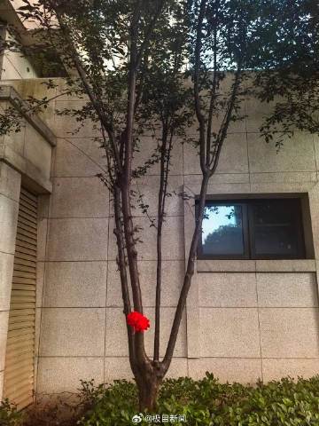 d360bf23ly1i3n0imkv5ej20a00dc76s