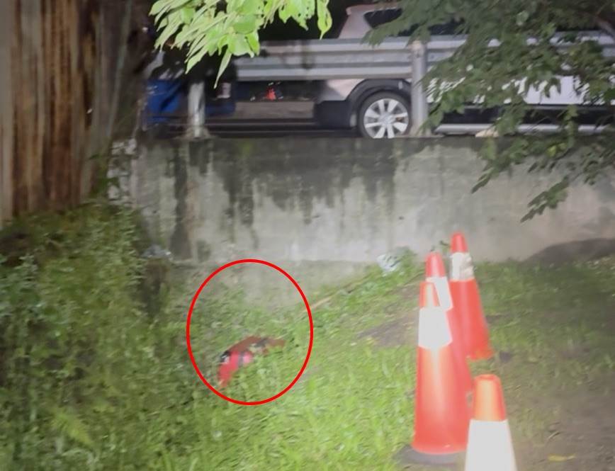 LINE_P2025729_161229_new