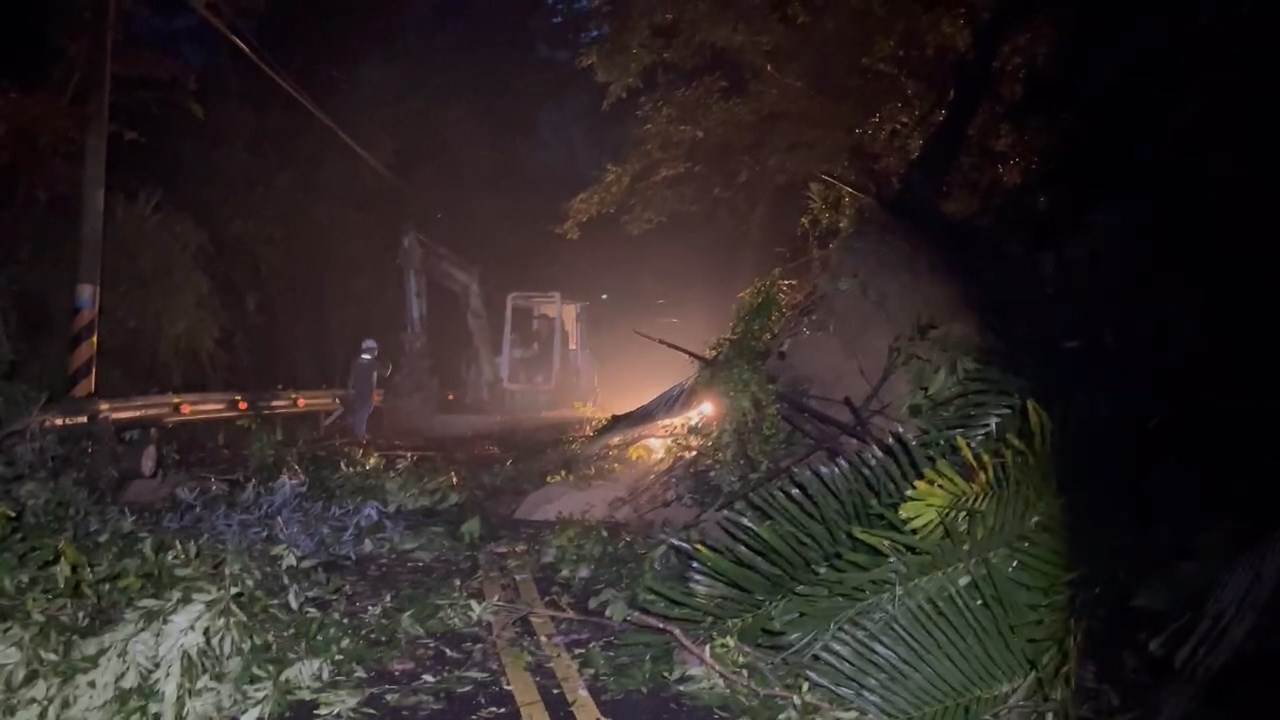 775480362.179006.mp4_snapshot_00.01.366