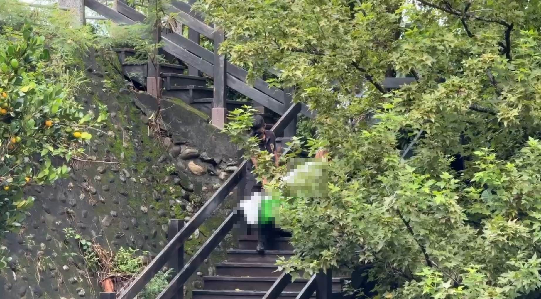 messageImage_1753939380716