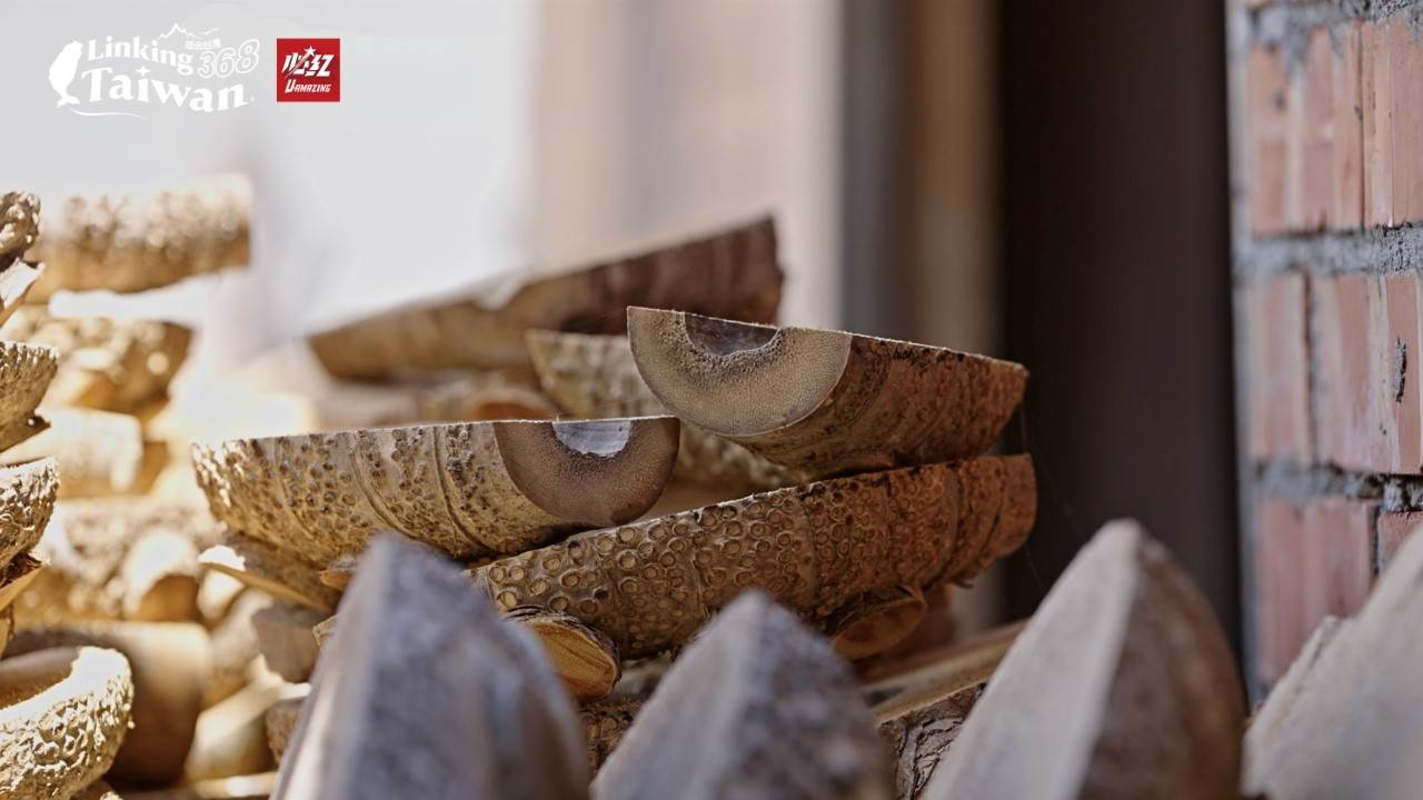 在台灣的傳統信仰中,人們大部分都是透過擲筊來與神明溝通,而這些筊杯現在大部分都是木製品,但在六腳的黃奕薰師傅卻是用竹頭來製作筊!(圖/《Linking 368 Taiwan恁去台灣》提供)