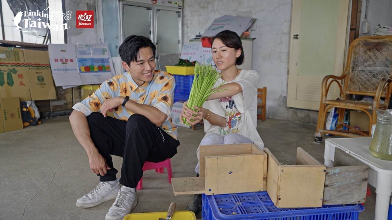 蘆筍出貨前需切成均等長度,切下的蘆筍梗過去常被節省利用,壓成汁或醃製成蘆筍梗來食用。(圖/《Linking 368 Taiwan恁去台灣》提供)