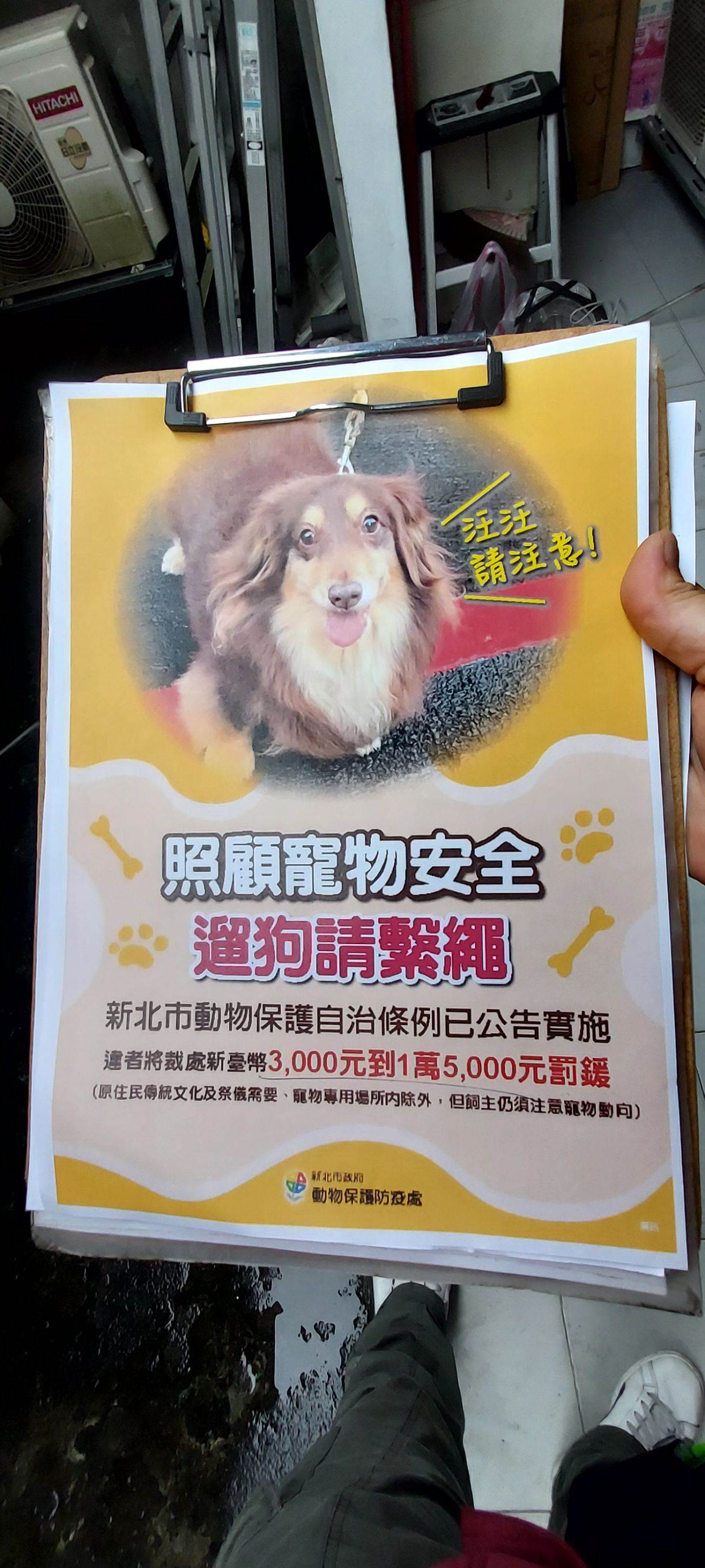 犬隻外出應繫繩,違反者可處3,000元至1萬5,000元罰鍰。