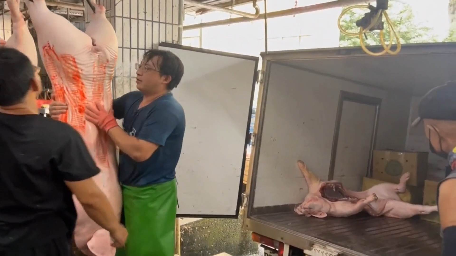 #1_Channel 3---2025_08_06---08_40_44---H264  8 bit---374---split012.mp4_snapshot_09.49.498