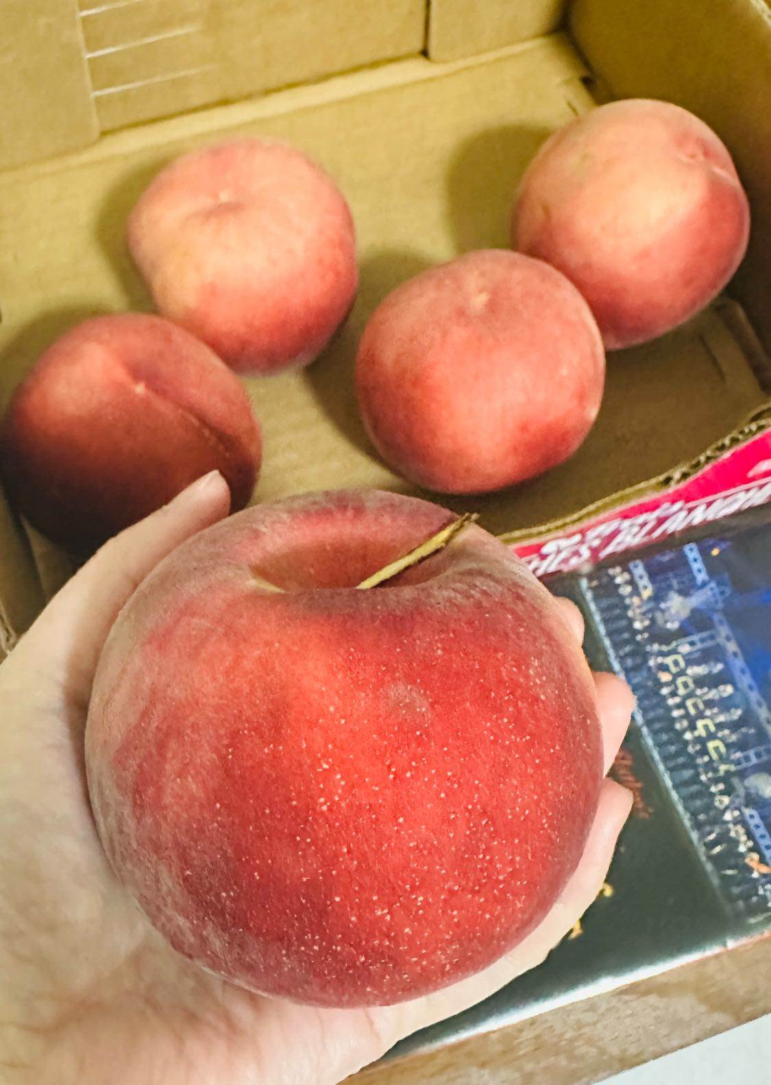 525790485_10238835557657684_6858115726746962325_n