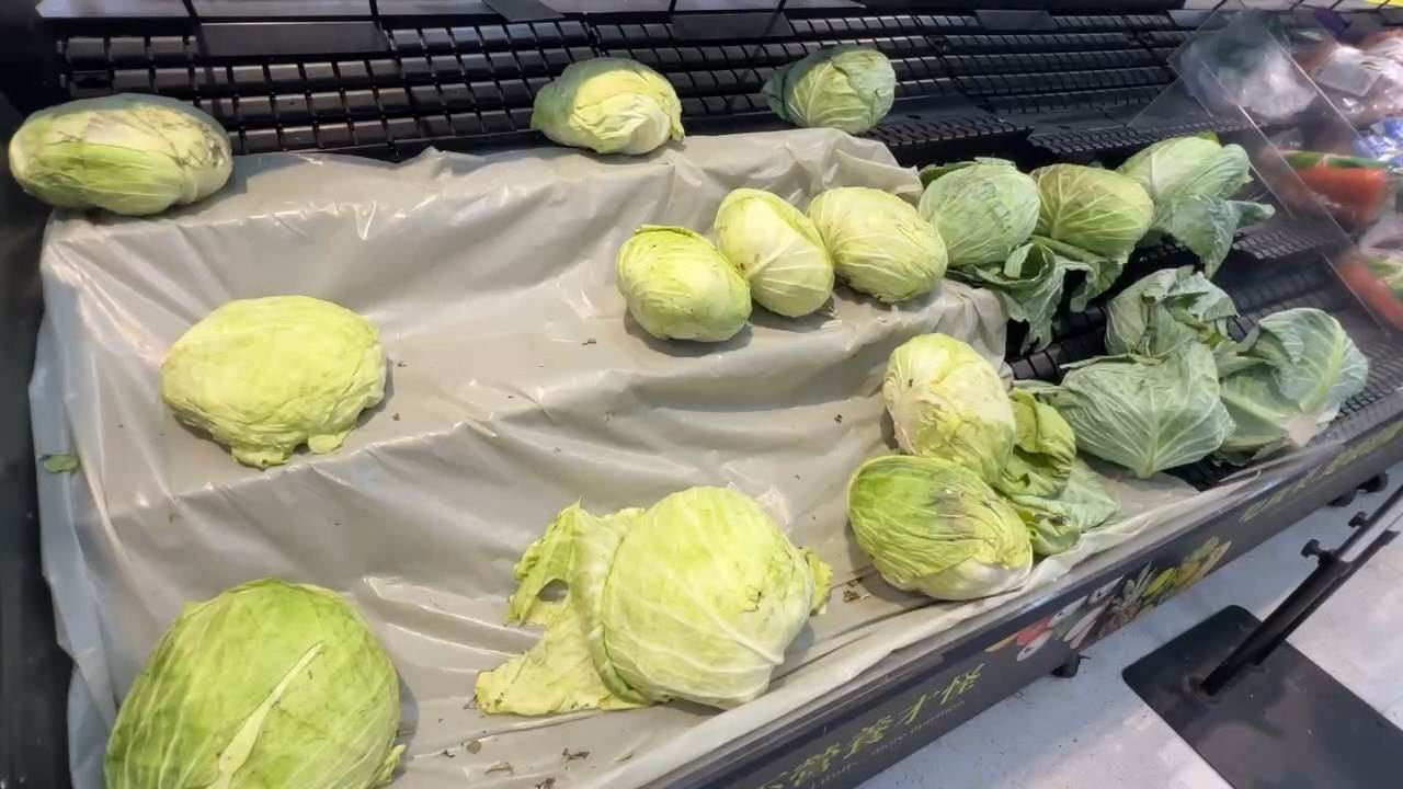 776694247.042292.mp4_snapshot_00.00