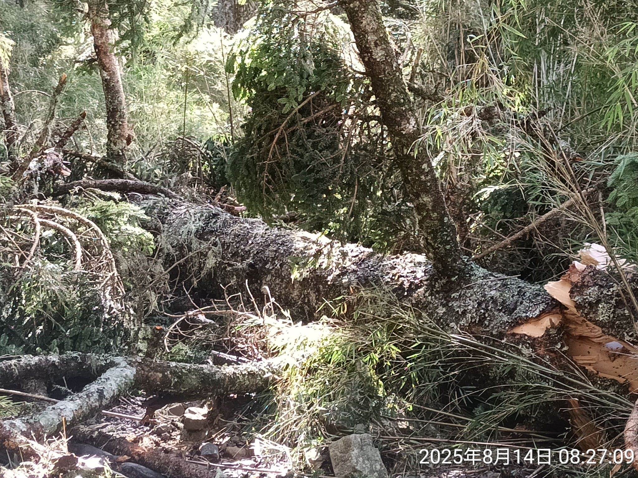 532392531_1093856706265259_5832649402971432310_n