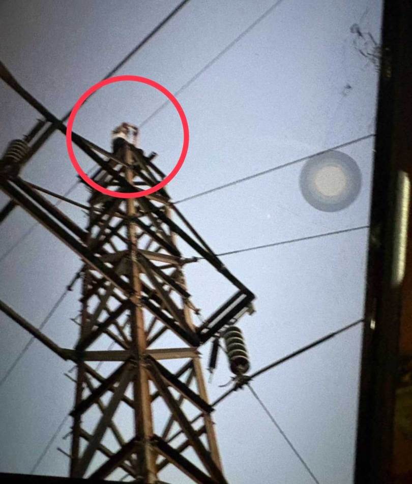 599598047b84243babfcdb66d56c556b