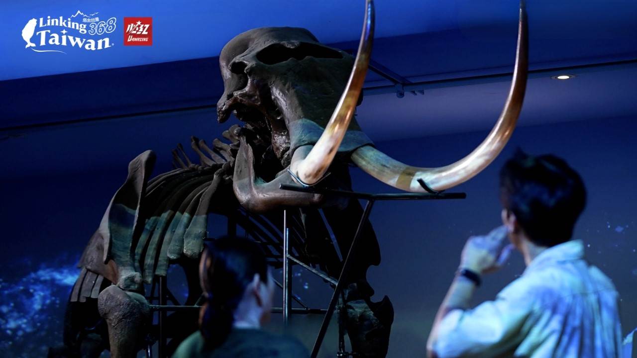 館內展覽聚焦於生物、考古與科學三大主軸，並展出深受小朋友喜愛的恐龍與長毛象化石。（圖／《Linking 368 Taiwan恁去台灣》提供）