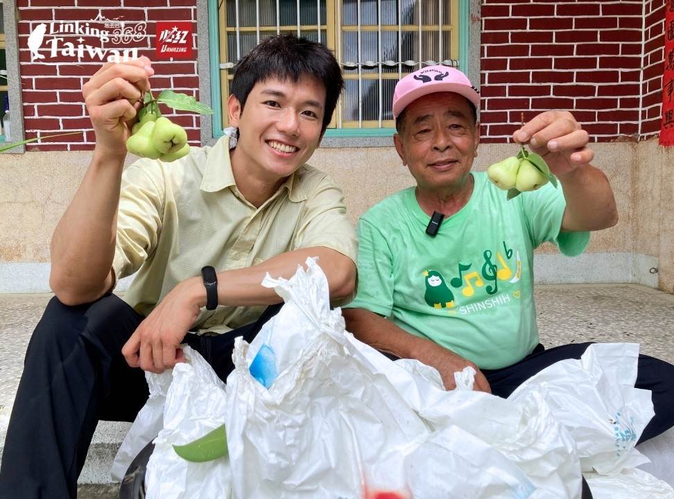 農民們秉持傳統耕作智慧，持續守護這片土地，讓白蓮霧的甜美滋味一代代傳承。（圖／《Linking 368 Taiwan恁去台灣》提供）