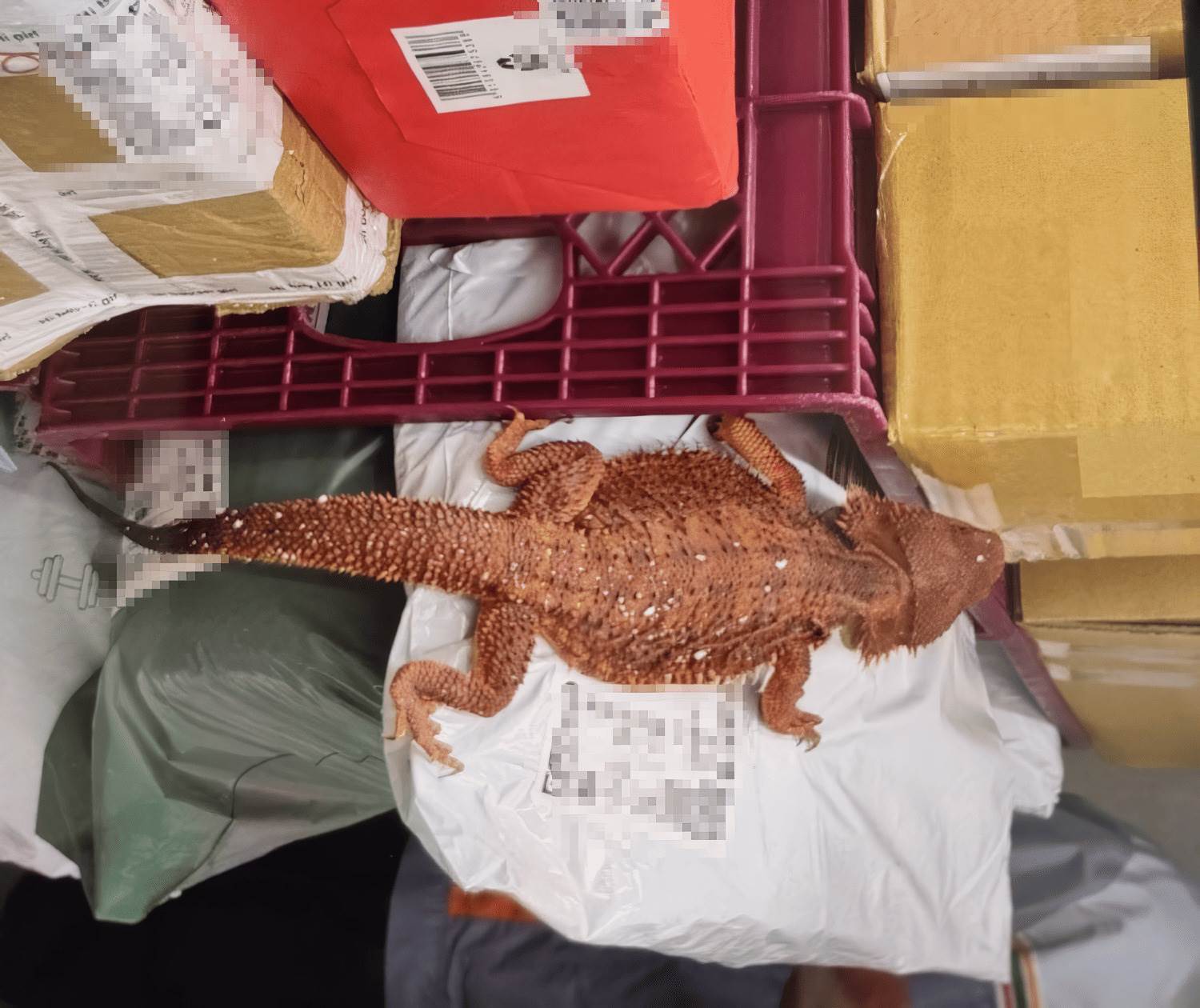 人員到場所見畫面。