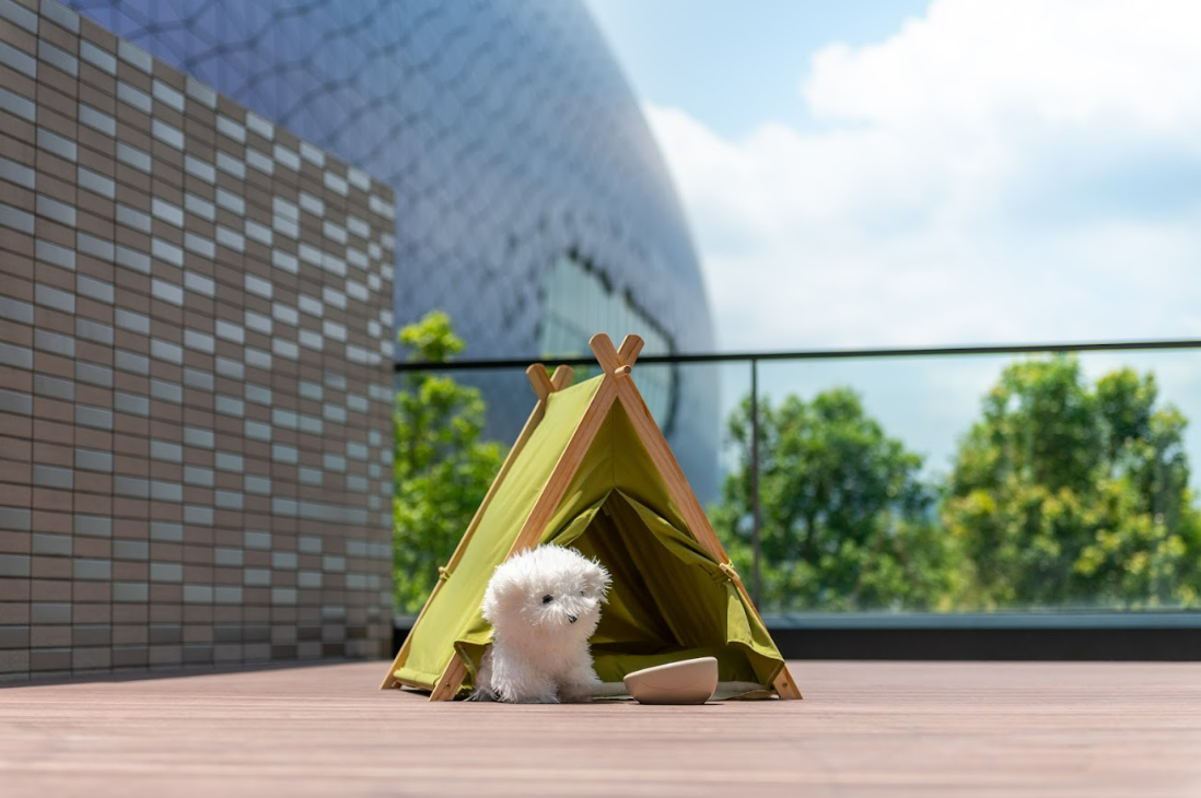 攜帶寵物的家庭旅客，提供更廣闊的住宿體驗。（圖／香港啟德帝盛酒店提供）