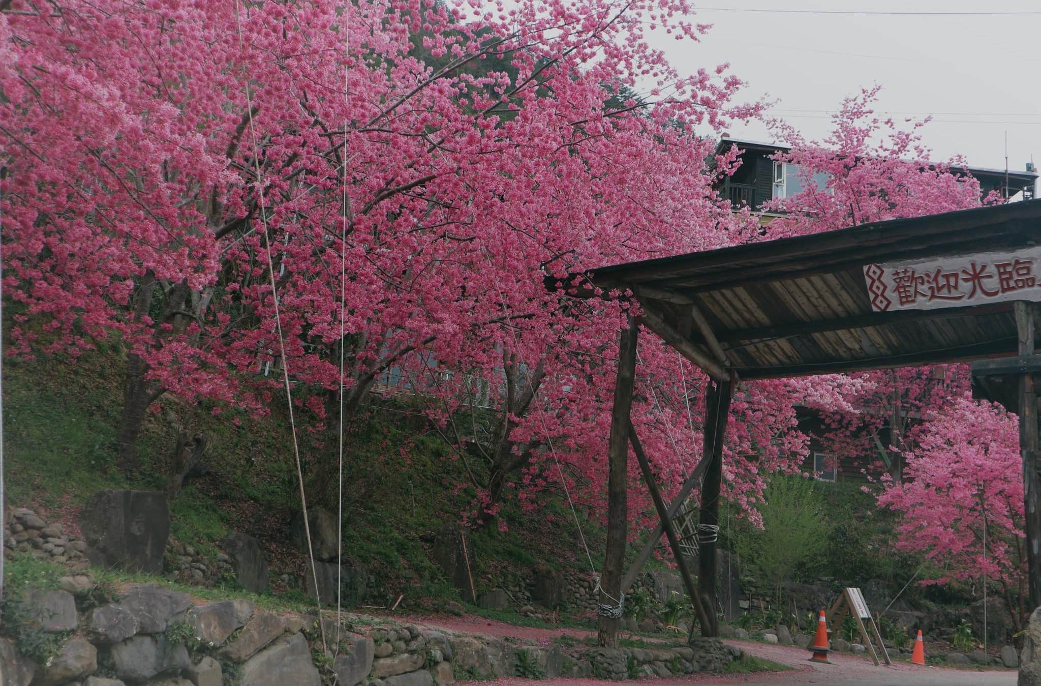 488787030_1109397444535770_2578231357319043157_n