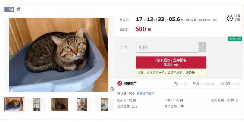 c2a02db927f7fe76d70d6e42319e1421