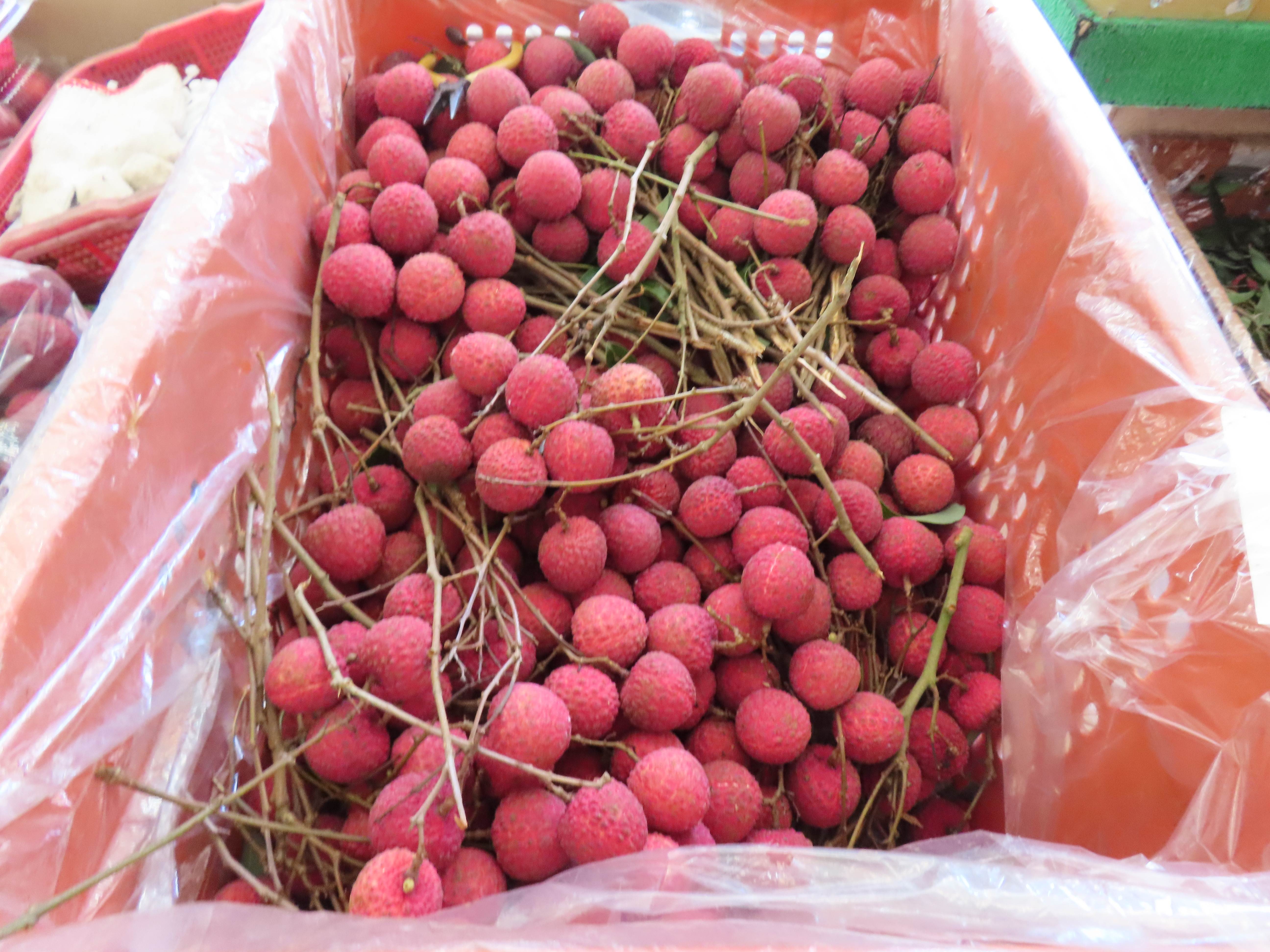 圖二、不合格產品照片